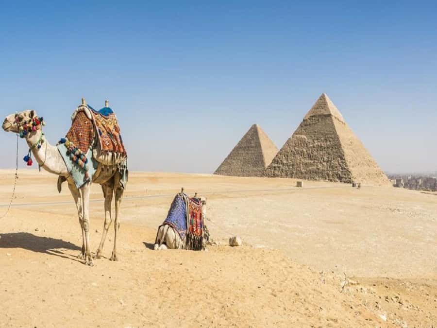 Cairo: Giza Pyramids, Sakkara & Dahshur All-Inclusive Tour - Lunch at a Local Restaurant: A Real Reset, Not an Afterthought