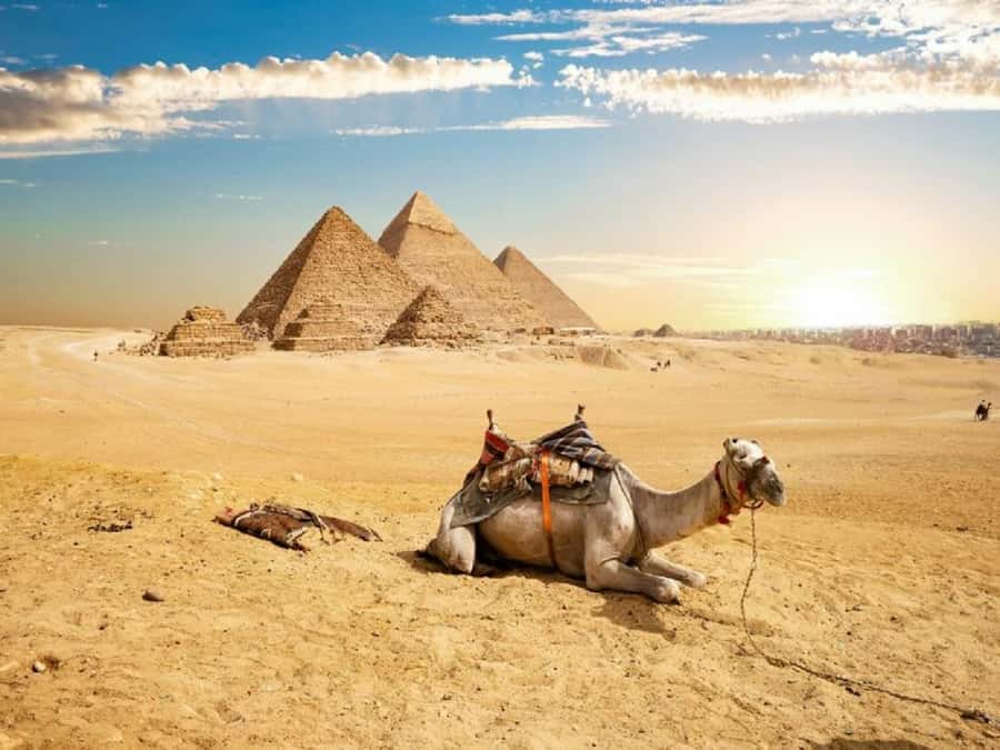 Cairo: Giza Pyramids, Sakkara & Dahshur All-Inclusive Tour - What to Bring and What to Watch For (Heat, Steps, Claustrophobic Corners)