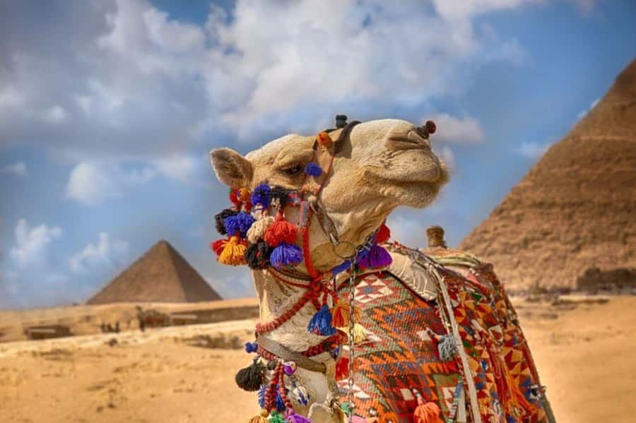 Cairo: Pyramids & Great Sphinx Private Tour with Camel Ride - From hotel pickup to the Giza Plateau: getting there without losing daylight
