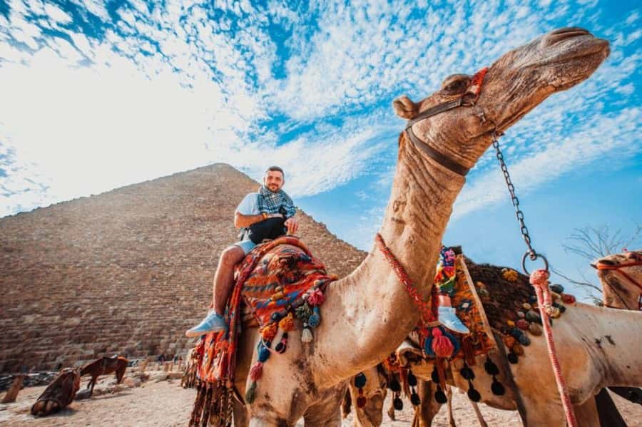 Cairo: Pyramids & Great Sphinx Private Tour with Camel Ride - Who should book this private Giza Pyramids and Sphinx tour?