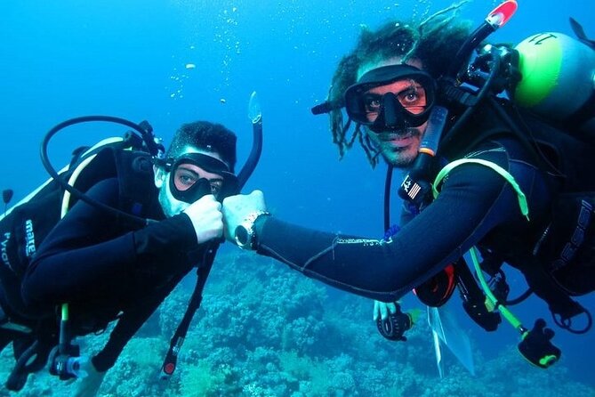 Discover Scuba Diving - Ratings that matter: what the best feedback says about the team