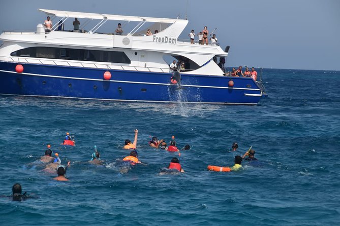 Dolphin House and Banana Boat Fun from Hurghada - Dolphin House Search: The Wild-Dolphin Part (And What You Can Control)