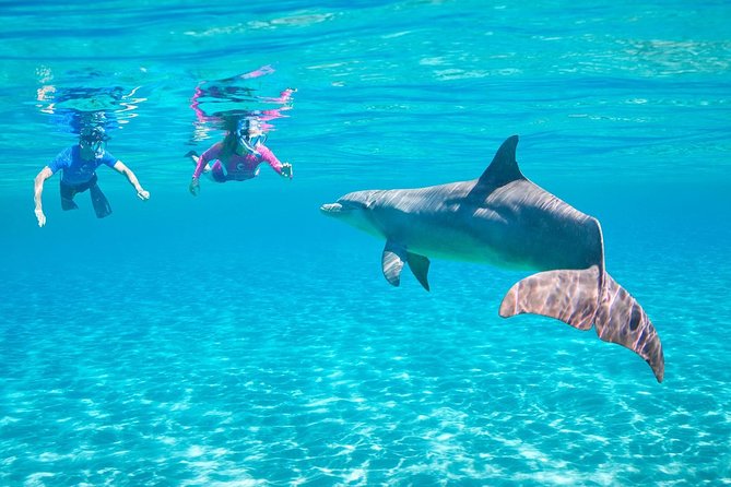 Dolphin House Royal Sea Trip Water Sports W/Transfer - HURGHADA - Safety and Comfort: What to Watch Before You Say Yes