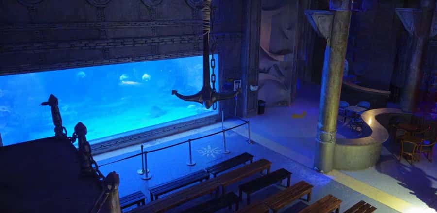 Entry Ticket: Grand Aquarium Hurgada - Key highlights to look for