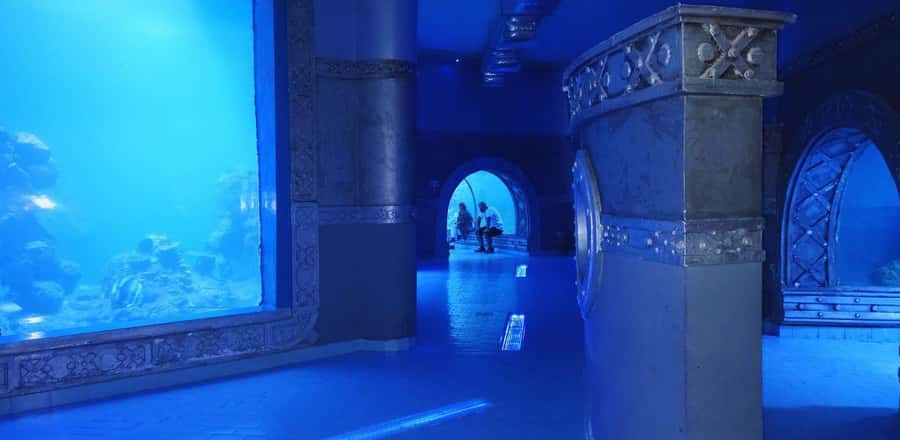 Entry Ticket: Grand Aquarium Hurgada - Getting there and planning your 2-hour window