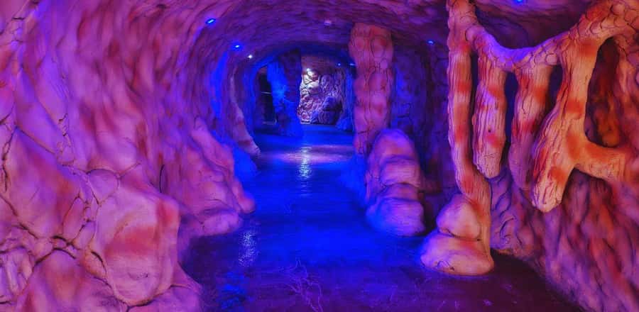 Entry Ticket: Grand Aquarium Hurgada - Cleanliness and animal comfort: what to keep in mind