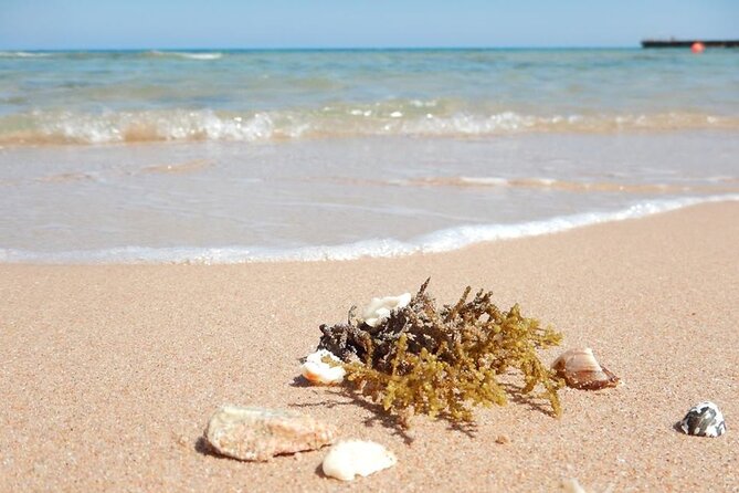 Excursion to the White Island & Ras Mohammed National Park from Sharm El Sheikh - Lunch and Drinks Onboard: A Small Inclusion That Changes the Mood
