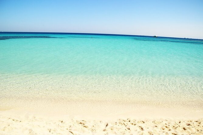 Excursion to the White Island & Ras Mohammed National Park from Sharm El Sheikh - Gear, Fees, and the Extras That Can Add Up