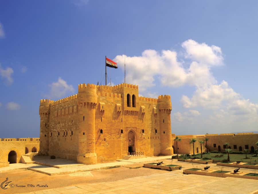 From Cairo: Private Full-Day Tour of Historical Alexandria - Price and Value: Why $65 Works (If You Want the Headlines)