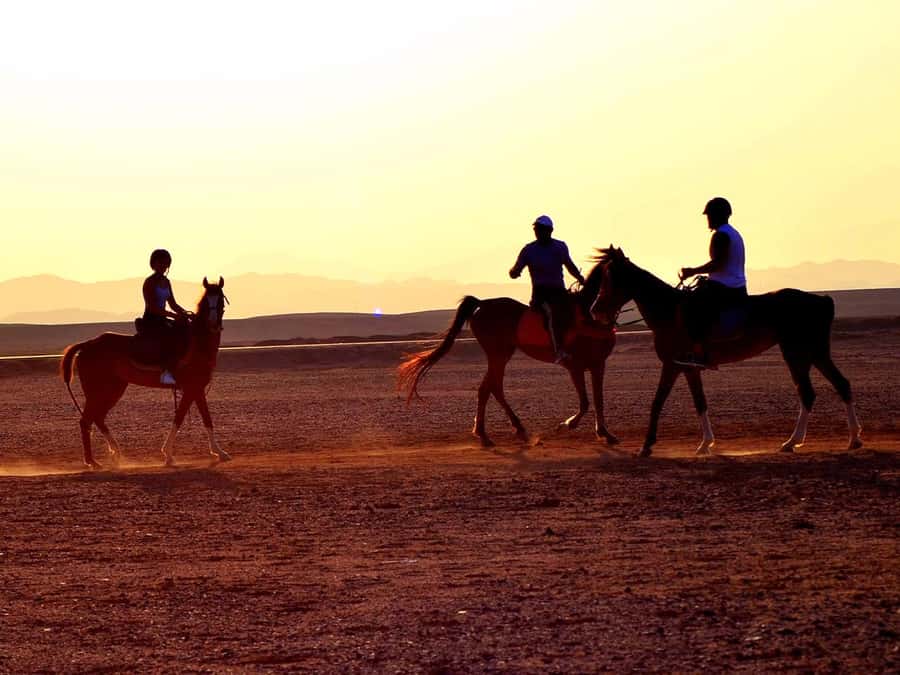 From Hurghada: Makadi Bay Horse Riding Tour - Choosing your timing: sunrise breakfast vs sunset dinner and stargazing