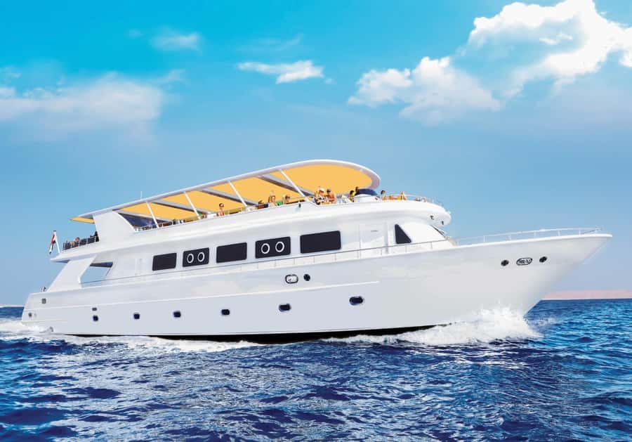 From Sharm: Ras Mohammed Cruise with Island Visit and Lunch - Snorkeling at Ras Mohamed: what you’ll likely see and how to make it easier