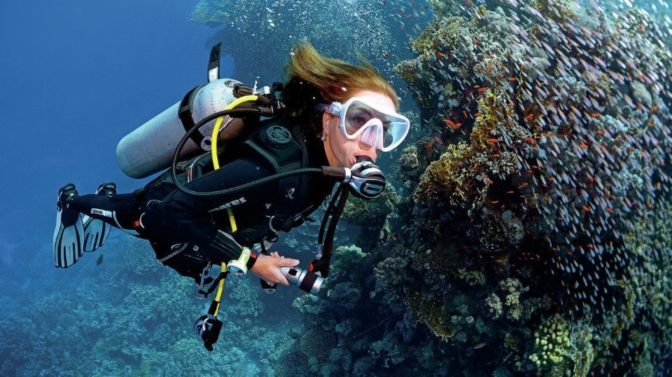 From Sharm: Ras Muhammed & White Island By Boat & intro Dive - Why Ras Muhammad from Sharm El Sheikh feels worth the ride