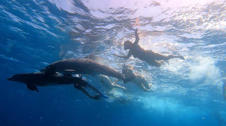 From Sharm: White Island and Ras Mohamed Snorkeling Trip - White Island: the tide factor and why the beach break is the highlight
