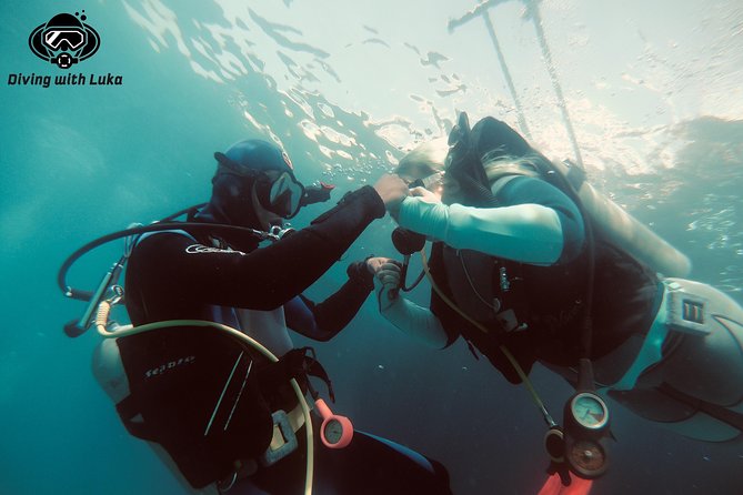 Full day diving with private guide, lunch drinks transportation - Key things to know before you go