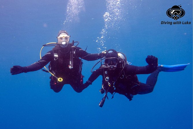 Full day diving with private guide, lunch drinks transportation - Price and Value: Why About $81 Can Make Sense Here