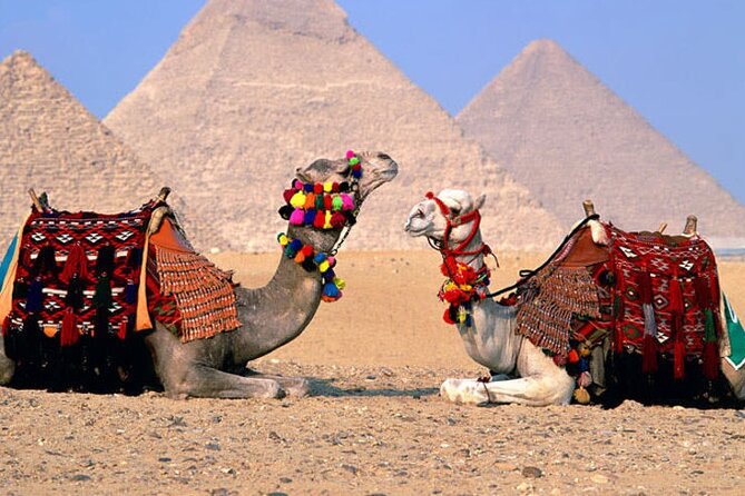 Giza Pyramids, Sphinx, Memphis, Saqqara, with private tour guide - Timing, heat, and how to pack for a 7–8 hour Cairo day