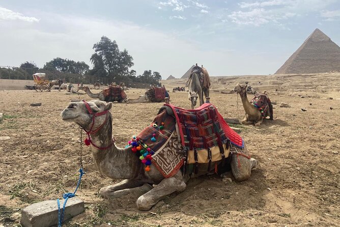Giza Pyramids,Sphinx,Camel Ride,ATV Bike,Shopping, Dinner cruise - Giza plateau views: the aligned 3-pyramid photo moment