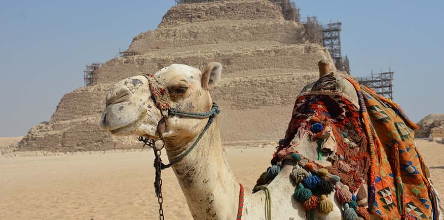 Giza: Sakkara, Memphis & Dahshur (Pyramid & Felucca Options) - What to Bring (and What Will Be an Annoyance)