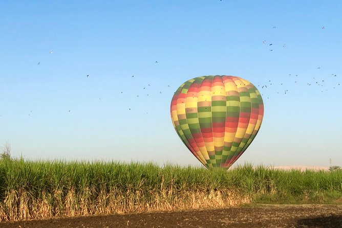 Hot Air Balloon Ride in Luxor Egypt with Transfers Included - The onboard guide: English commentary that keeps it meaningful
