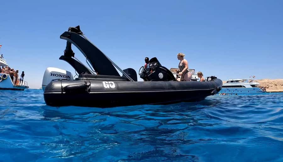 Hurghada: 3-Island Speedboat, Dolphin Watching & Snorkeling - Dolphin watching on Red Sea time: calm search, real chance