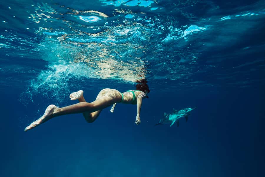 Hurghada: All-Inclusive Elite VIP Dolphin House & Massage - From Hurghada Pickup to Yacht Breakfast: What the Start Really Feels Like