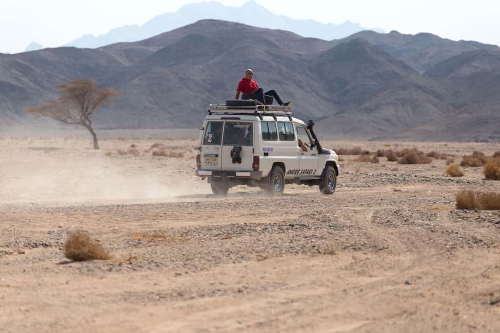 Hurghada: ATV Quad, Jeep and Buggy Safari with BBQ Dinner - Air-Conditioned Jeep Safari in the Red Sea Desert