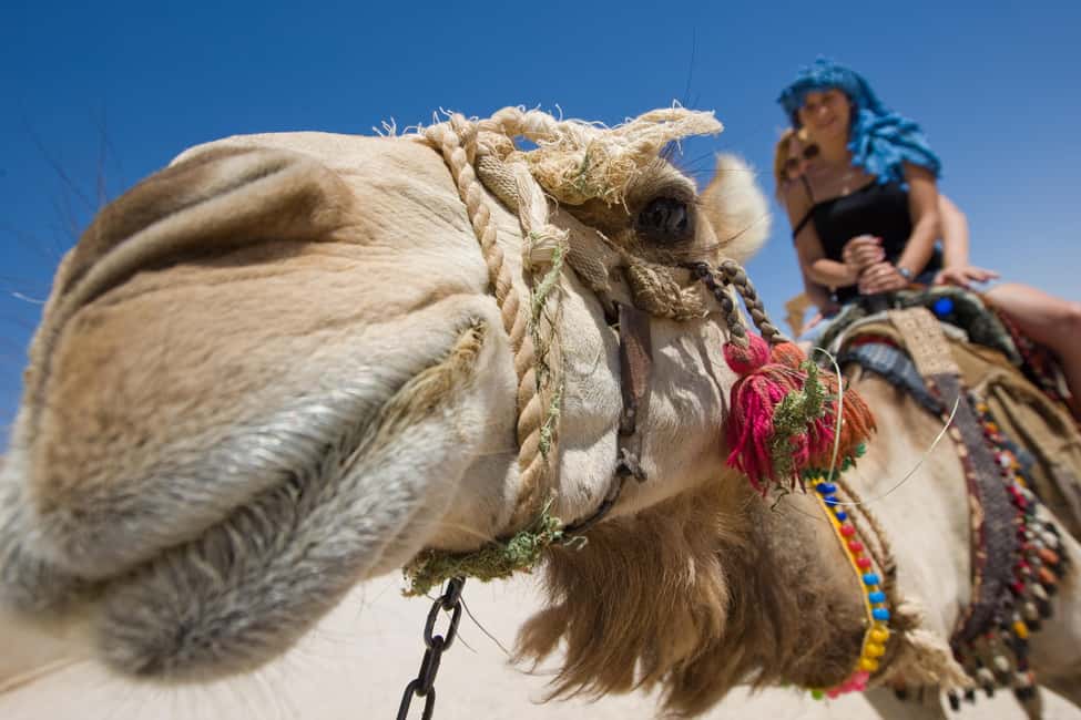 Hurghada: ATV Quad, Jeep and Buggy Safari with BBQ Dinner - ATV Quad Test Drive and the 30-Minute Ride