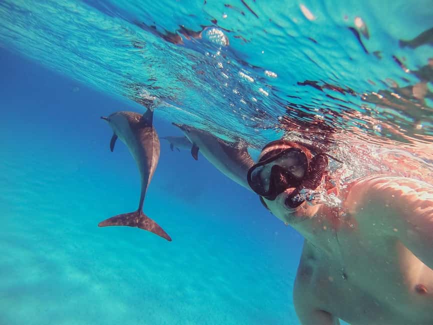 Hurghada: Dolphin Watching Boat Tour with Snorkeling & Lunch - Key things to know before you go