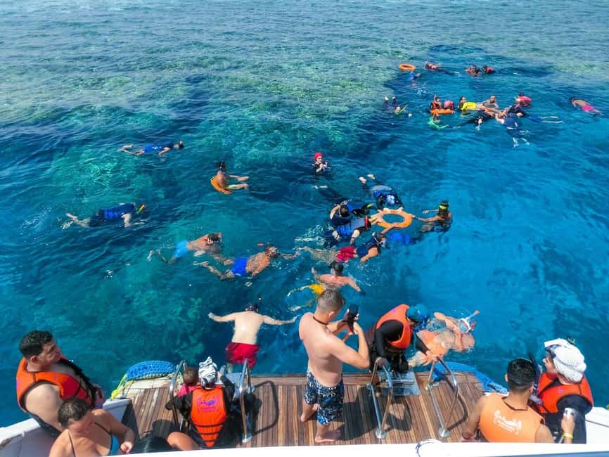 Hurghada: Dolphin Watching Boat Tour with Snorkeling & Lunch - Snorkeling with an instructor: two reef stops and how the groups work