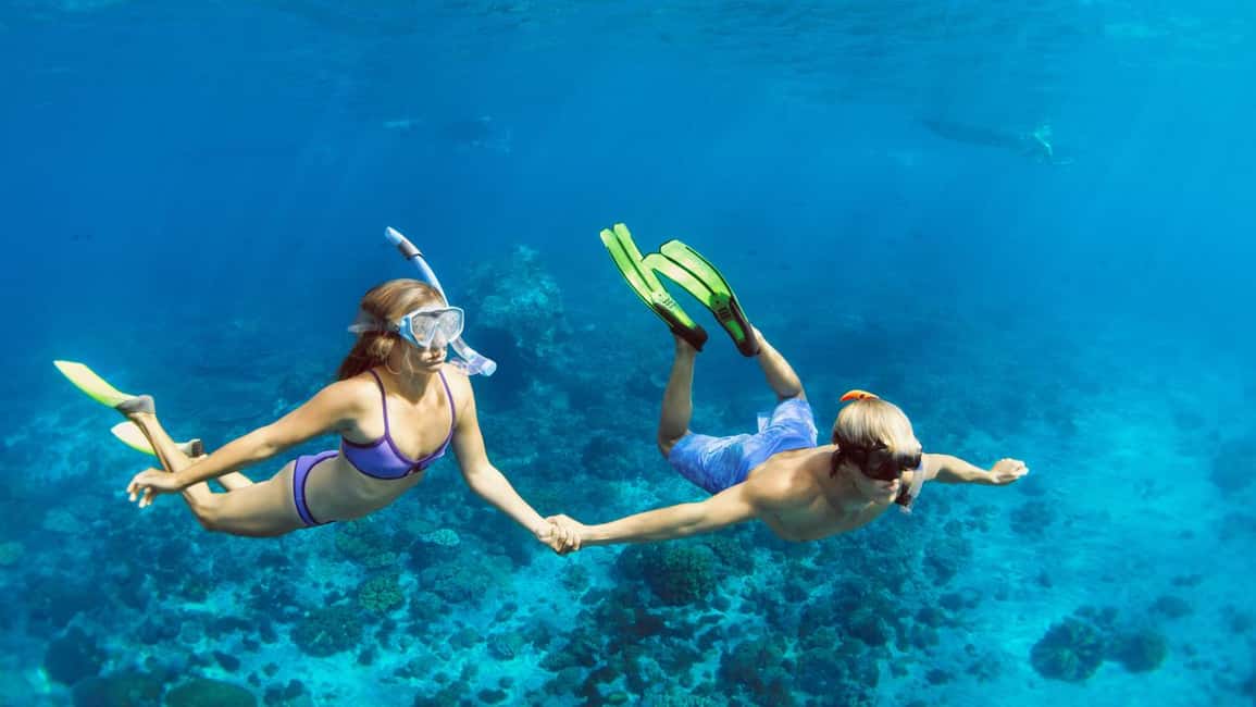 Hurghada: Dolphin Watching Boat Tour with Snorkeling & Lunch - Guides and safety: the part you don’t notice until it matters
