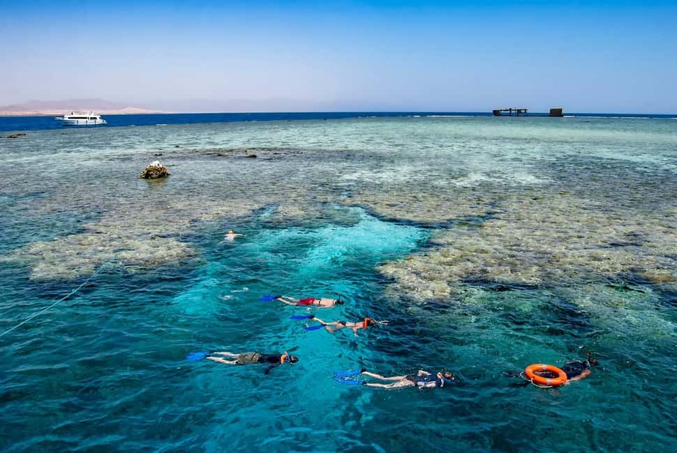 Hurghada: Dolphin Watching Boat Tour with Snorkeling & Lunch - Who this tour fits best (and who should skip it)