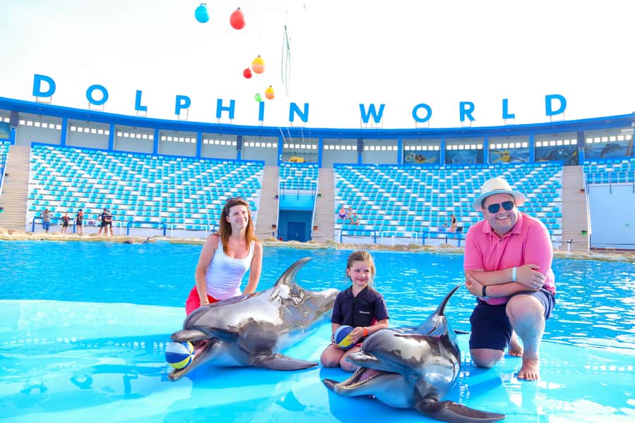 Hurghada: Dolphin World Show with Walruses and Pickup - Key highlights to know before you go