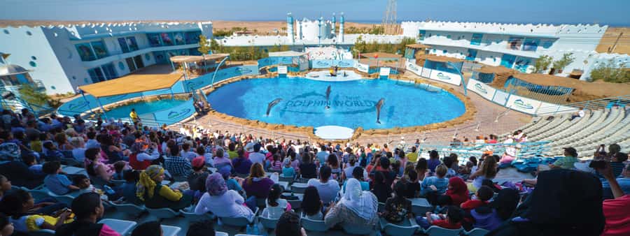 Hurghada: Dolphin World Show with Walruses and Pickup - What Dolphin World in Hurghada Is Like
