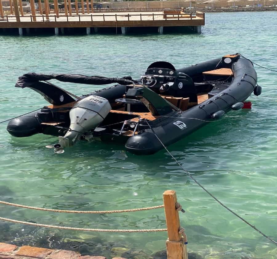 Hurghada: Giftun Island Orange Bay Speedboat Cruise & Lunch - Dolphins and turtles: how the day can surprise you