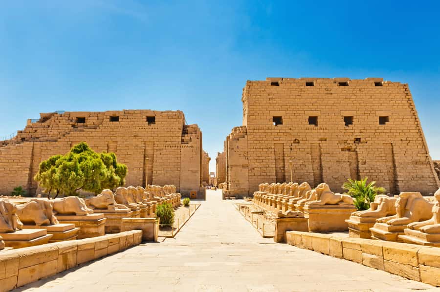 Hurghada: Luxor Highlights & King Tut Tomb Tour with Lunch - Key highlights worth planning around