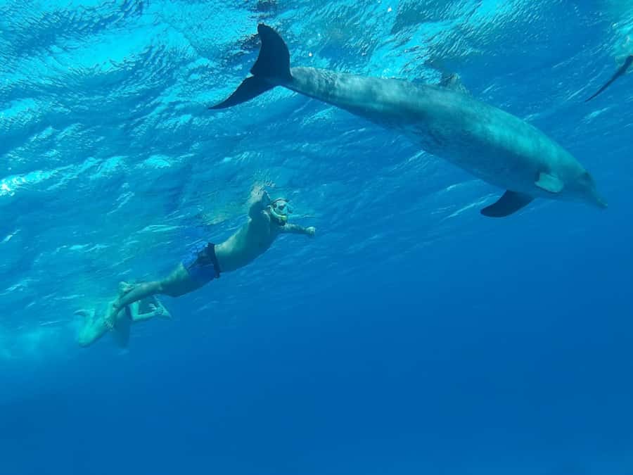 Hurghada: Luxury Cruise Trip to Orange Bay with Lunch - Who should book this Orange Bay luxury cruise