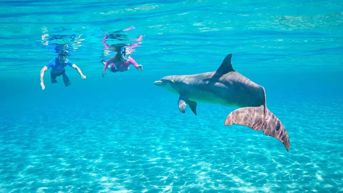 Hurghada or Makadi: Discover the Magic of Dolphin House - Key things to know before you go