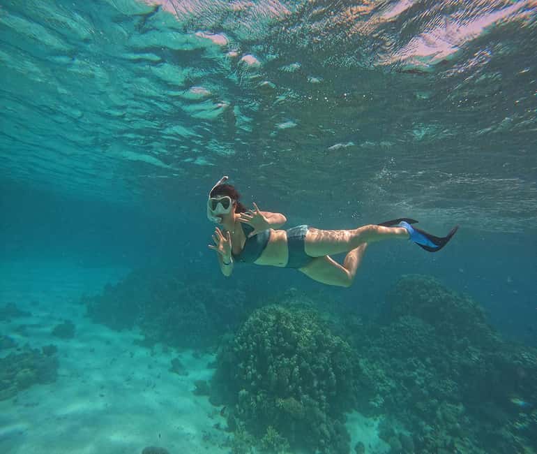Hurghada or Makadi: Discover the Magic of Dolphin House - Snorkeling twice in the Red Sea: coral, fish, and how to feel confident