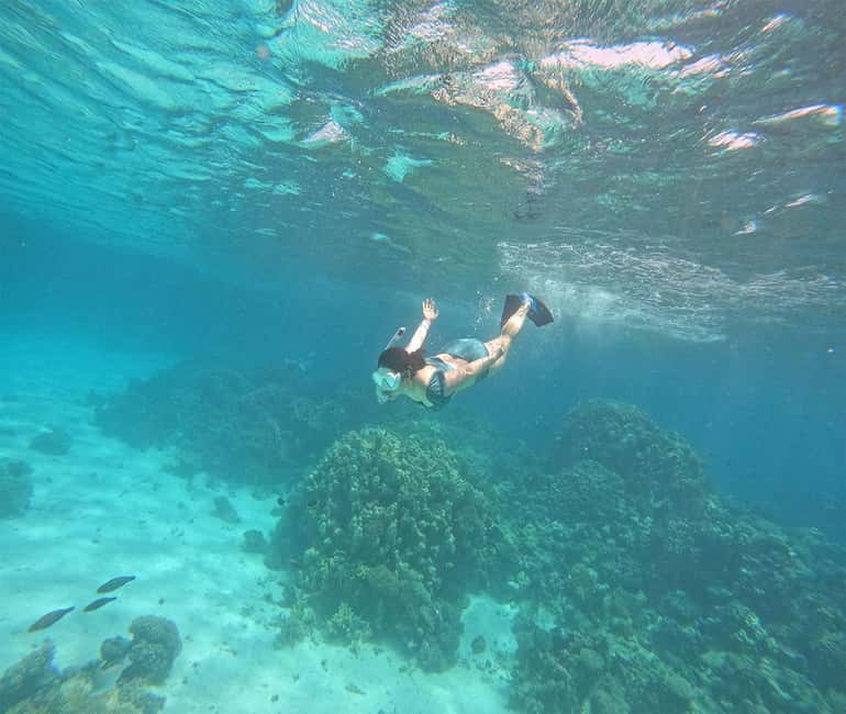 Hurghada or Makadi: Discover the Magic of Dolphin House - Pickup, timing, and what to bring (so you don’t scramble)