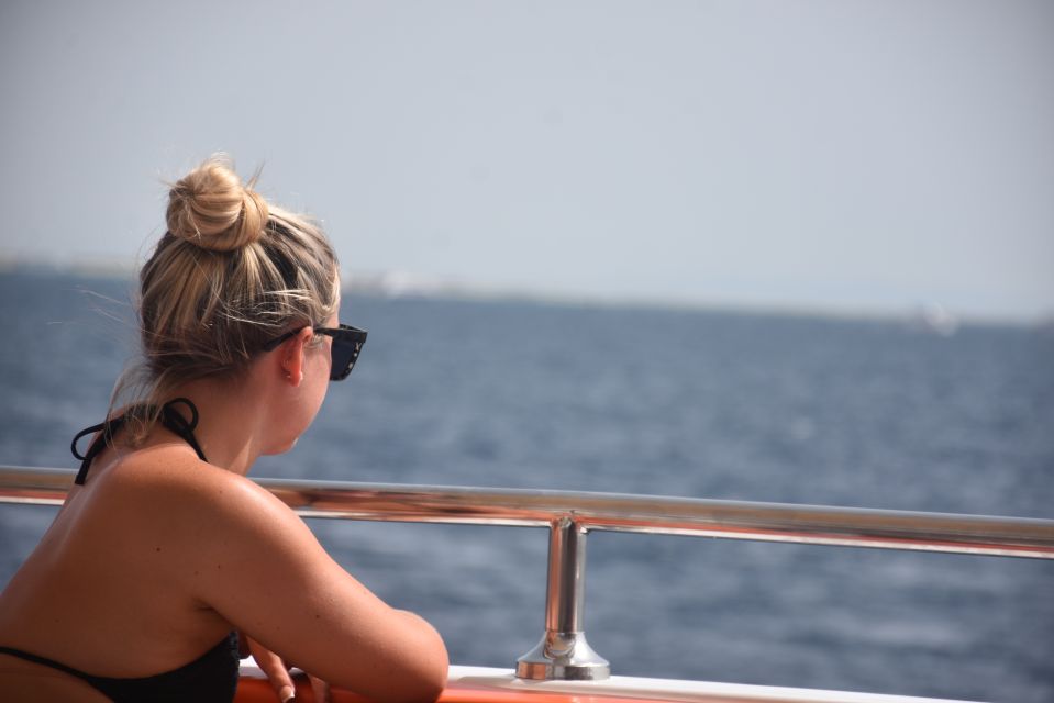 Hurghada or Makadi: Discover the Magic of Dolphin House - The Dolphin House dolphin swim: conditions, timing, and the safety reality