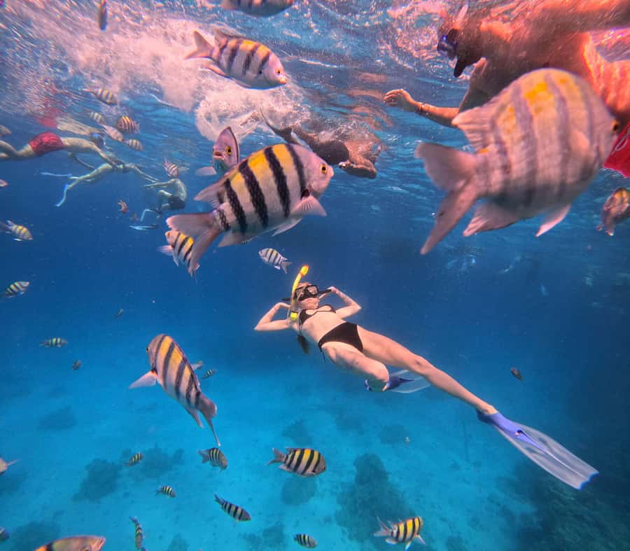 Hurghada: Orange Bay Island Boat Trip w/ Breakfast and Lunch - Lunch Break: More Than a Quick Bite