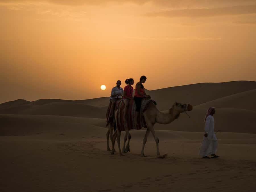 Hurghada: Quad Bike, Camel, Show, Dinner, & Stargazing Trip - Why This Hurghada Desert Combo Feels Worth It