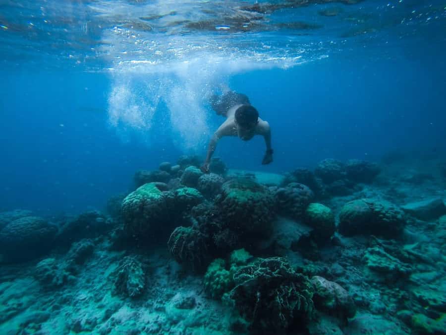 Hurghada: Royal Orange Bay with Massage, Snorkeling & Lunch - Key highlights you’ll feel all day