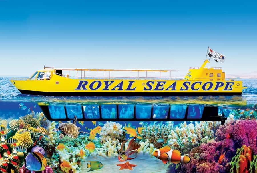 Hurghada: Royal Seascope Submarine Cruise with Snorkel Stop - How the Semi-Submarine Turns the Red Sea Into a Simple Trip