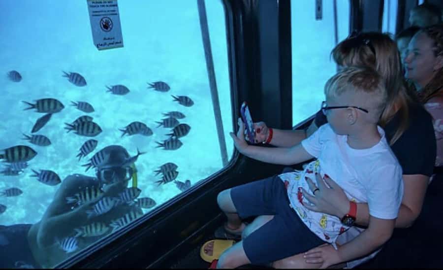 Hurghada: Royal Seascope Submarine Cruise with Snorkel Stop - Coral, Fish, and the Dolphin Possibility