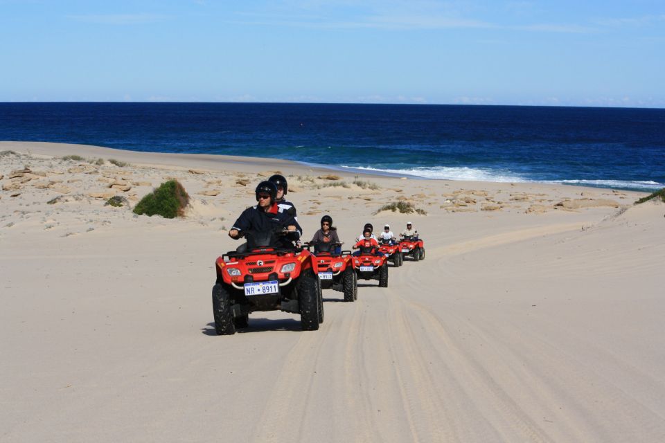Hurghada: Sea and Mountains Quad or Buggy Family Tour - Key highlights worth your attention