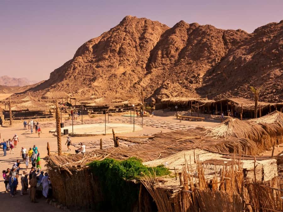 Hurghada: Sea & Desert Camel Ride w/Dinner, Show, Stargazing - Key highlights at a glance