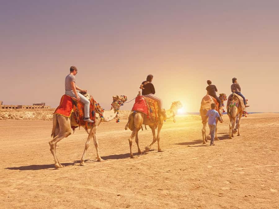 Hurghada: Sea & Desert Camel Ride w/Dinner, Show, Stargazing - The route you’re likely to ride: desert plains, sandy valleys, and a Red Sea pause