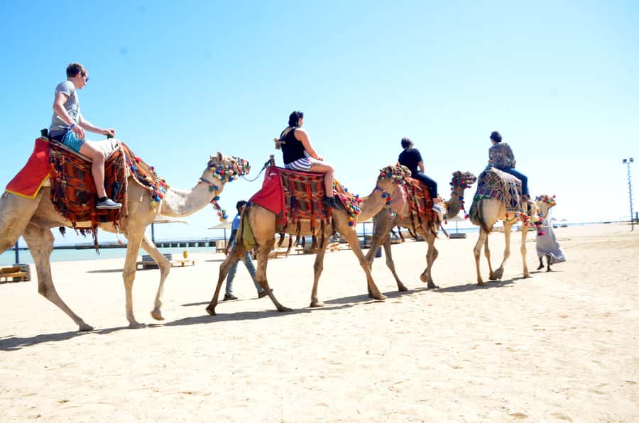Hurghada: Sea & Desert Camel Ride w/Dinner, Show, Stargazing - Pickup and timing: how logistics affect your comfort