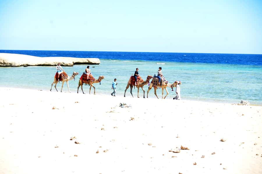 Hurghada: Sea & Desert Camel Ride w/Dinner, Show, Stargazing - Getting ready on-site: safety briefing, helmets, and skill comfort